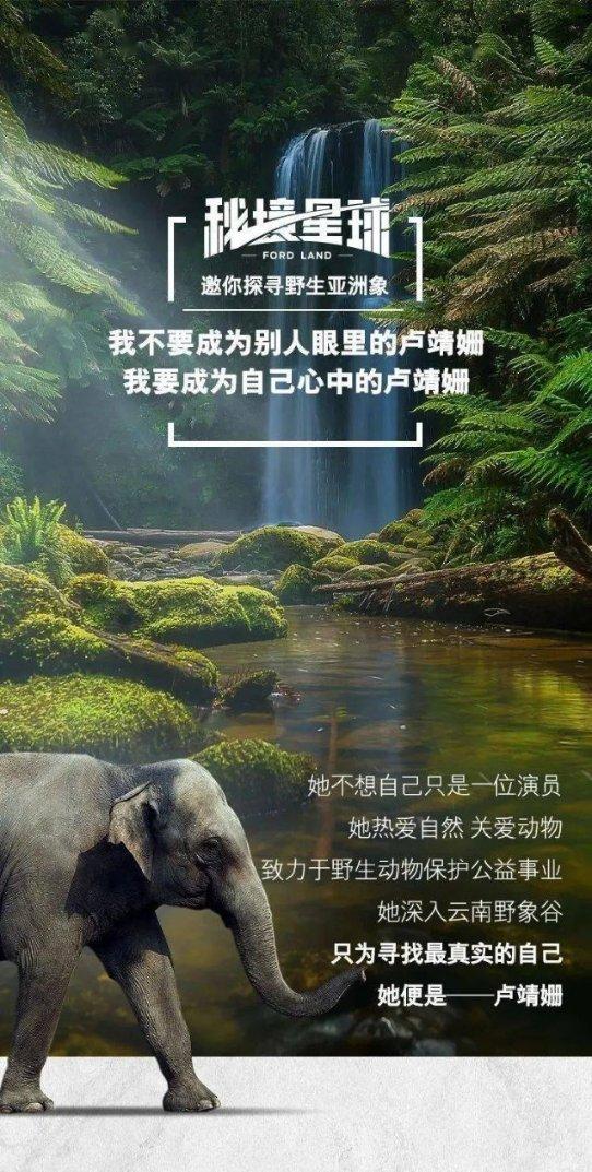 救援萌老虎
